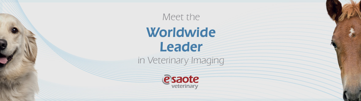 Discover MyLab™Gamma & MyLab™Six VET