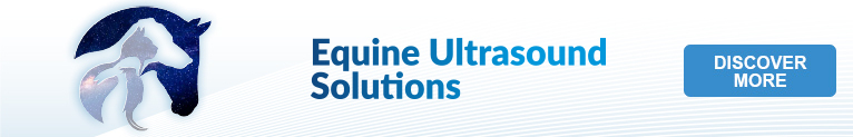 Download VET Ultrasound Solutions for Equine - Leaflet