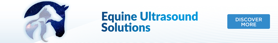 Download VET Ultrasound Solutions for Equine - Leaflet