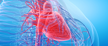 Cardiology/Cardiovascular