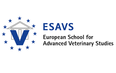 ESAVS 2020 Ultrasonography