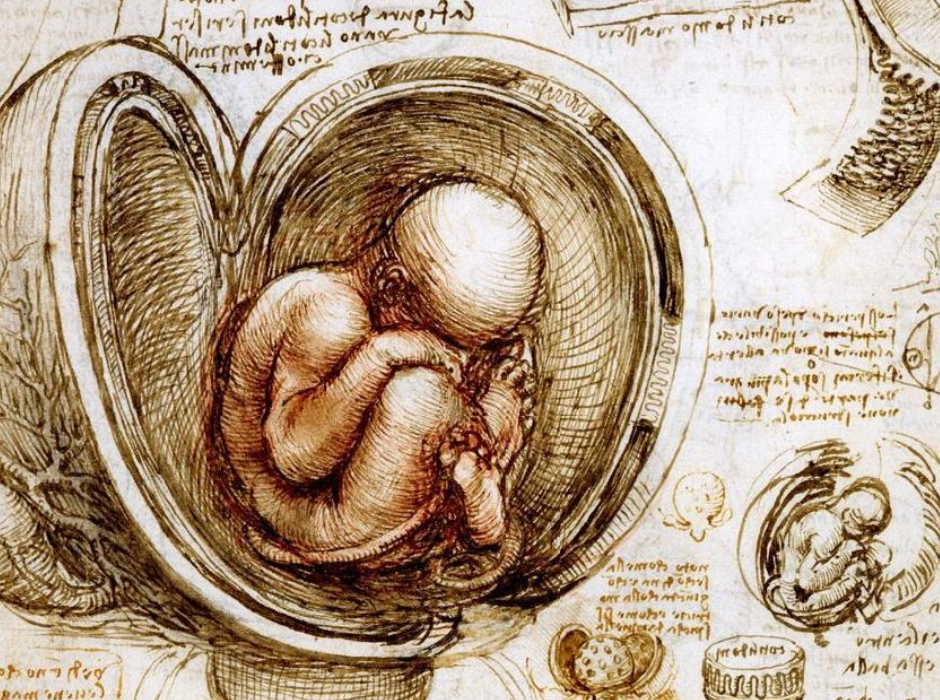 Esaote Outcome, L'arte di fare ricerca