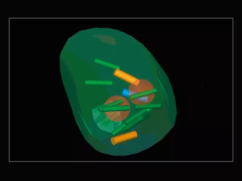 MyLab™X9 - Urology 03