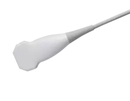 L187BH probe - Type: Linear - Applications: MSK, Small Parts, Pediatrics, Rheuma