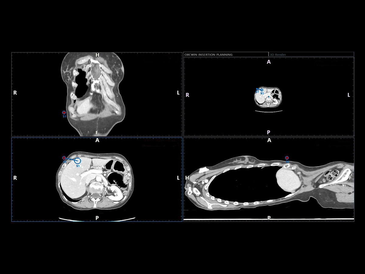 Virtual Navigator, supported by A.I