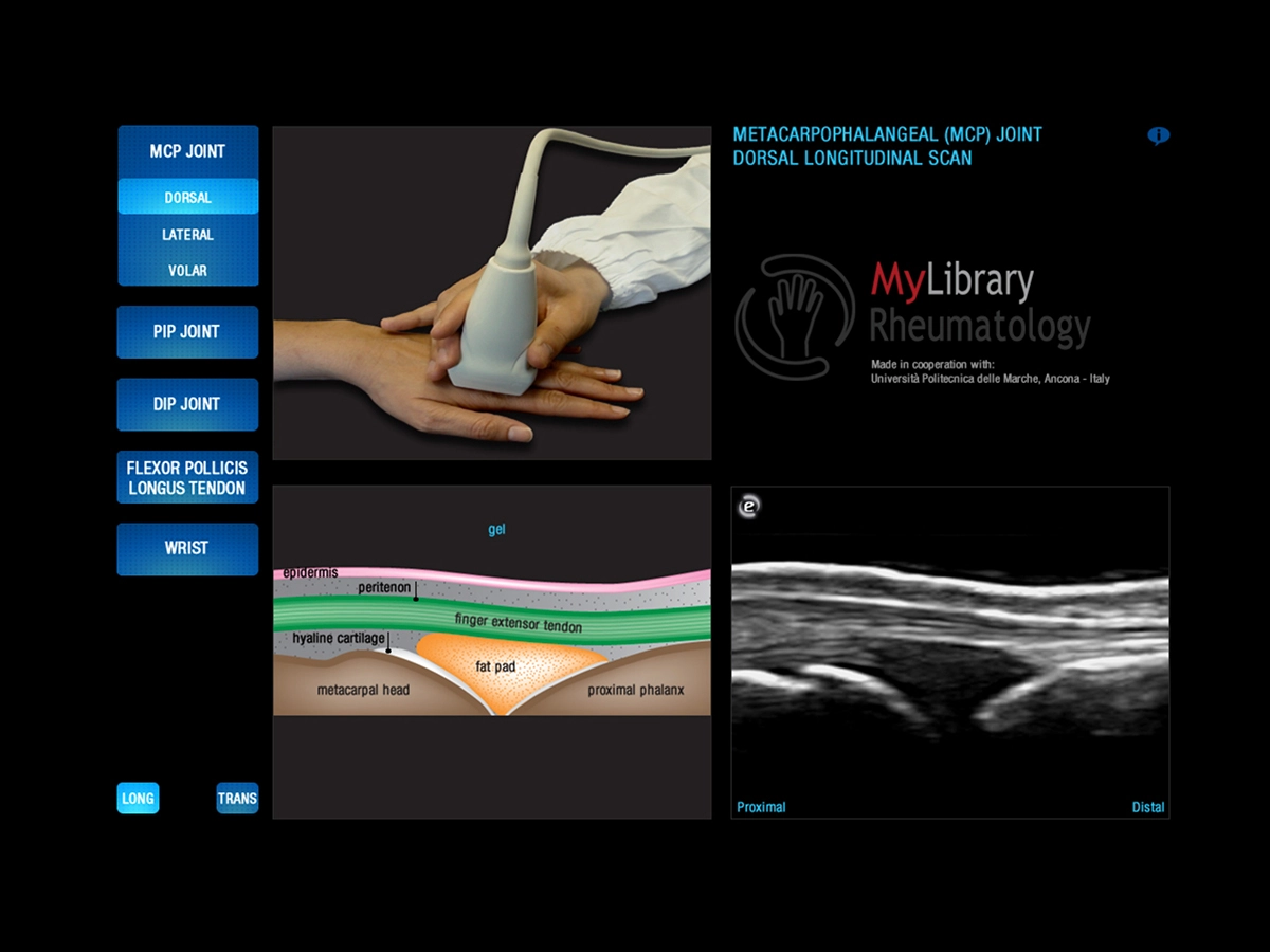 Real-Time Educational Support