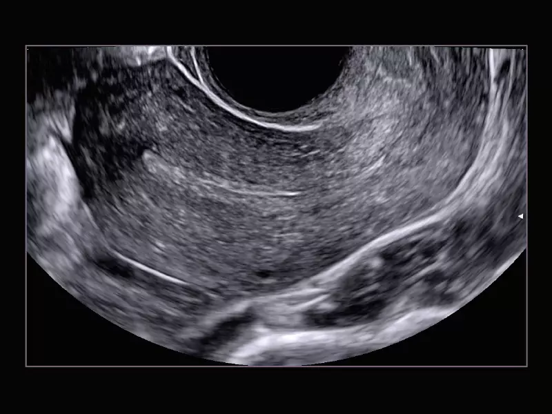 MyLab™X9 - Shared Service 08