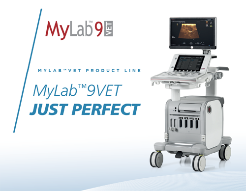MyLab<sup>™</sup>9VET