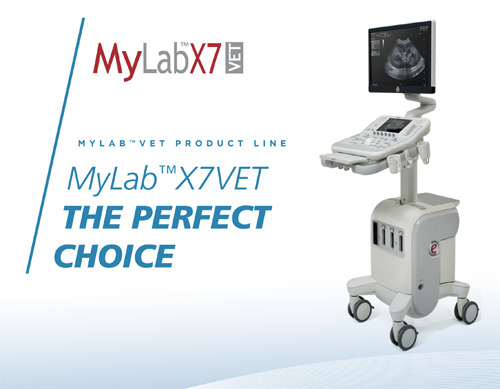 MyLab<sup>™</sup>X7VET