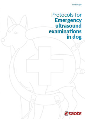 VET White paper - Emergency