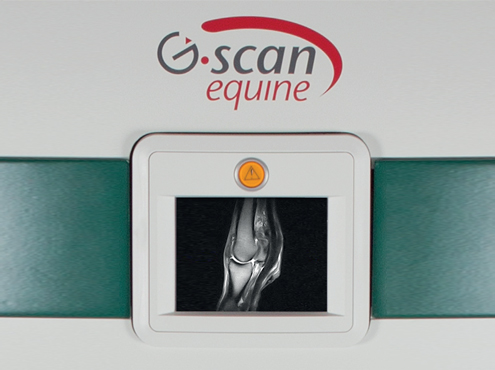 G-scan equine gantry screen