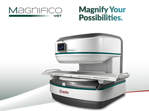 Magnifico Vet MRI