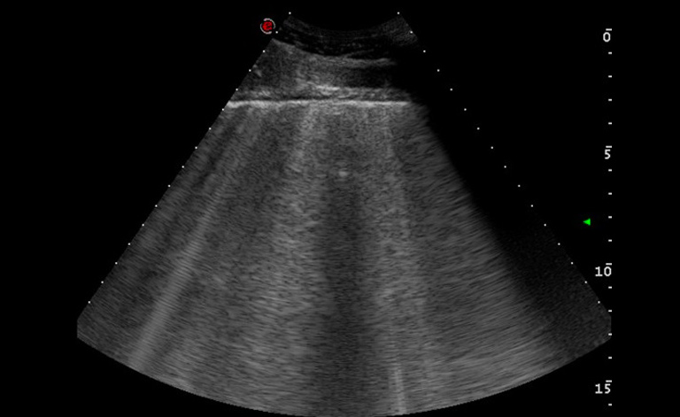 Equine Medicine Unit, University of Milan, University Veterinary Hospital of Lodi.