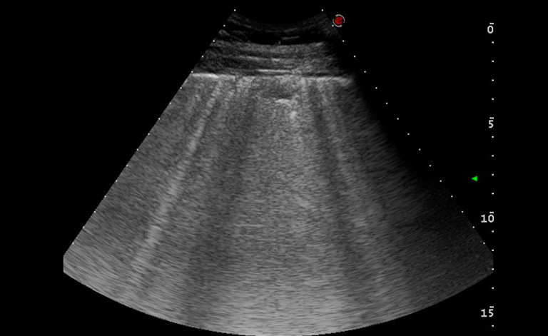 Equine Medicine Unit, University of Milan, University Veterinary Hospital of Lodi.