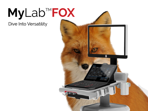 MyLab<sup>™</sup>FOX