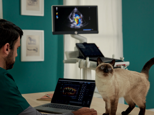 MyLab<sup>™</sup>FOX Connectivity