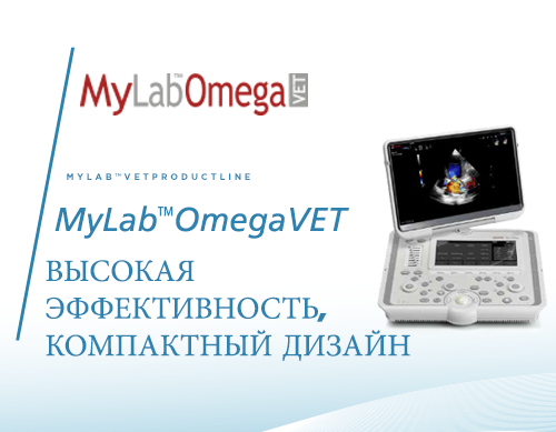 MyLab<sup>™</sup>OmegaVET