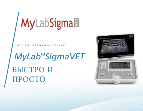 MyLab<sup>™</sup>SigmaVET