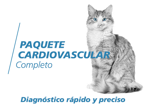 MyLab<sup>™</sup>X8VET Cardiovascular Package