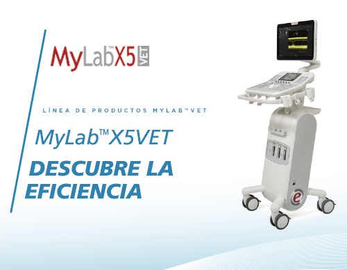 MyLab<sup>™</sup>X5VET