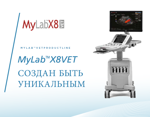 MyLab<sup>™</sup>X8VET