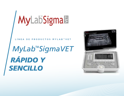 MyLab<sup>™</sup>SigmaVET