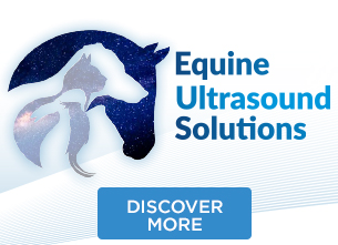 Download VET Ultrasound Solutions for Equine - Leaflet