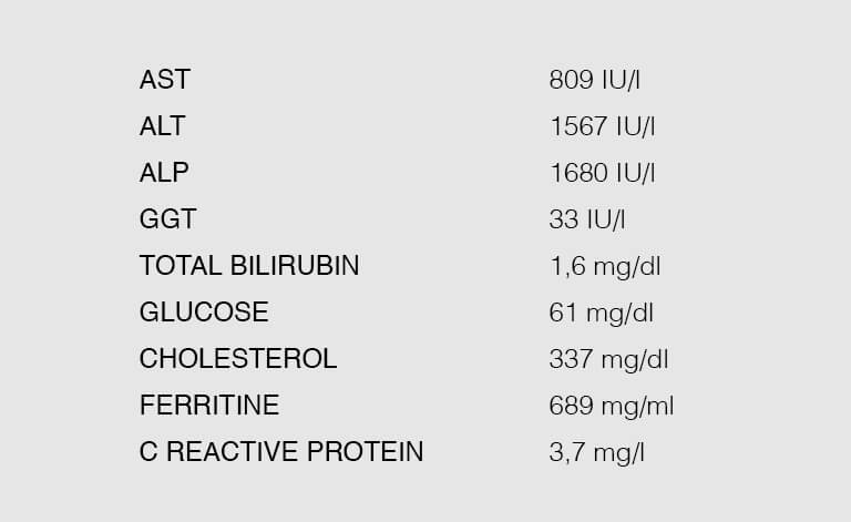 result of the hematobiochemical examination
