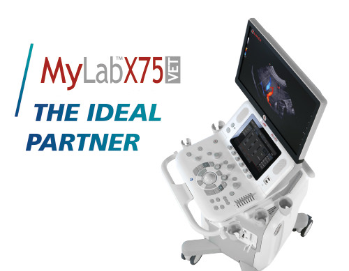 MyLab<sup>™</sup>X75VET