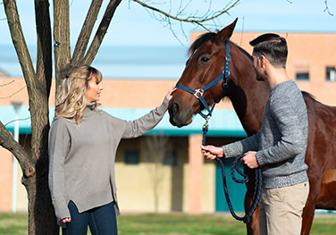 Laura Martinelli, Equine Medicine Unit, University of Milan, University Veterinary Hospital of Lodi.