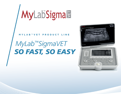 MyLab<sup>™</sup>SigmaVET