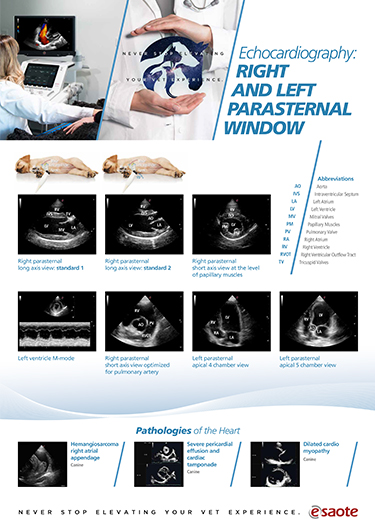 VET Poster - Cardio Echocardiography: Right and Left Parasternal Window