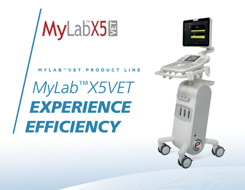 MyLab<sup>™</sup>X5VET