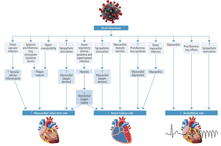 Potential Mechanisms for Acute Effect of Viral Infection on CV System