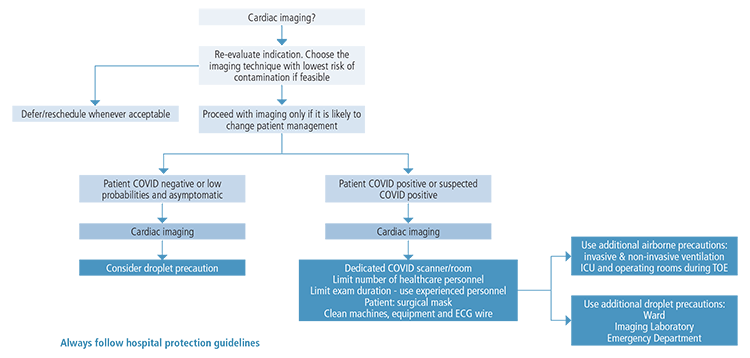 Suggested considerations and precautions before and during cardiac imaging as recommended by EACVI