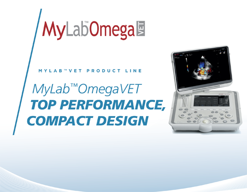 MyLab<sup>™</sup>OmegaVET