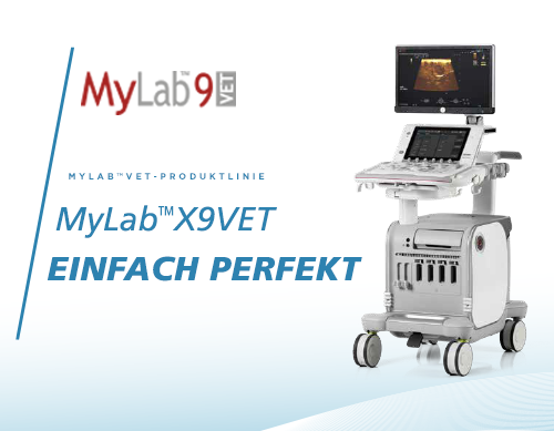 MyLab<sup>™</sup>9VET