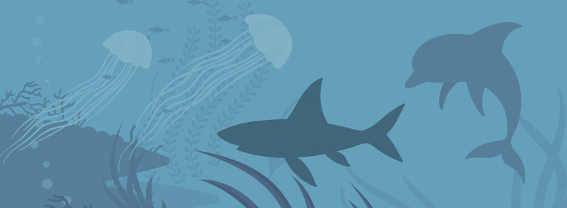 Fish Leadership