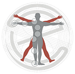 MSK Ultrasound App