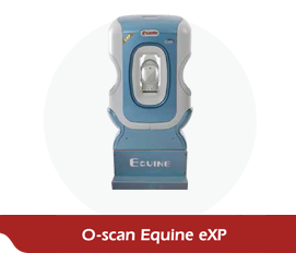 O-scan Equine