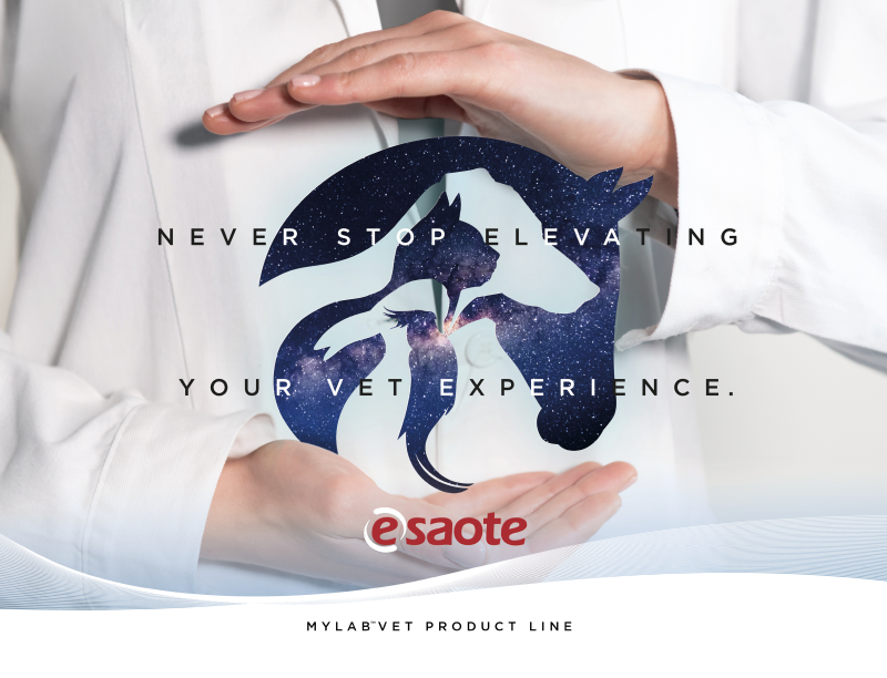 Never Stop Elevating Your Vet Experience. Never Stop Elevating Your Vet Experience.
