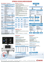 Poster Transcranial Ecocolor Doppler