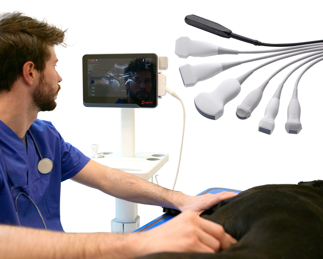 MyLab<sup>™</sup>X1VET
