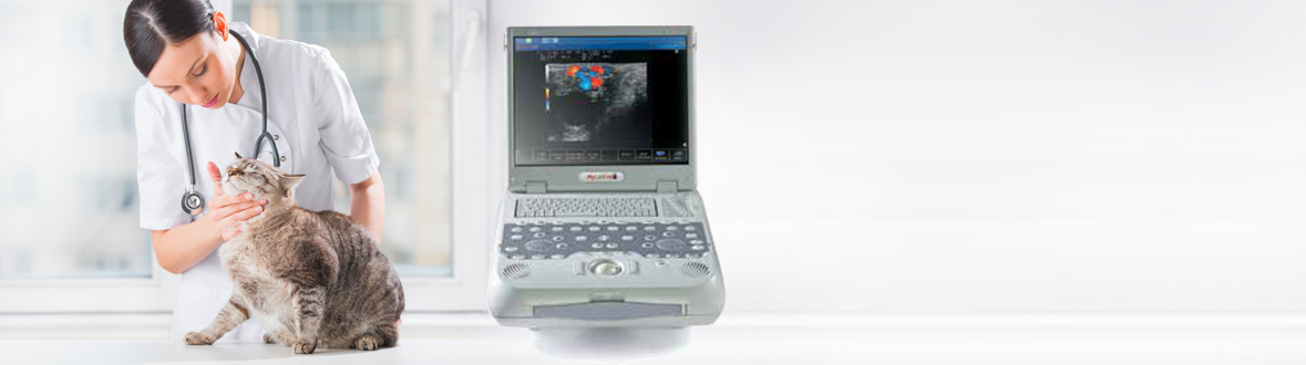 VET Ultrasound Additional Systems