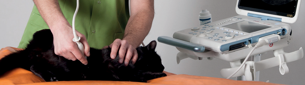 VET Ultrasound Clinical Solutions