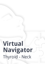 Download Virtual Navigator - Thyroid - Neck White Paper
