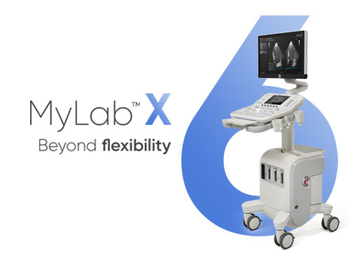 MyLab<sup>™</sup>X6