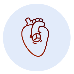 Suitestensa Cardio Surgery