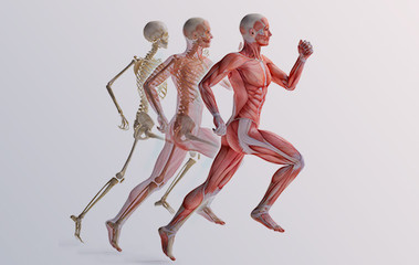 msk applications