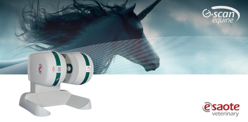 G-scan equine